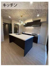 NICライブステイツ川越南のキッチン