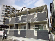 レインボーローズの画像