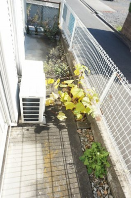 【バルコニー】 | フジハイツ