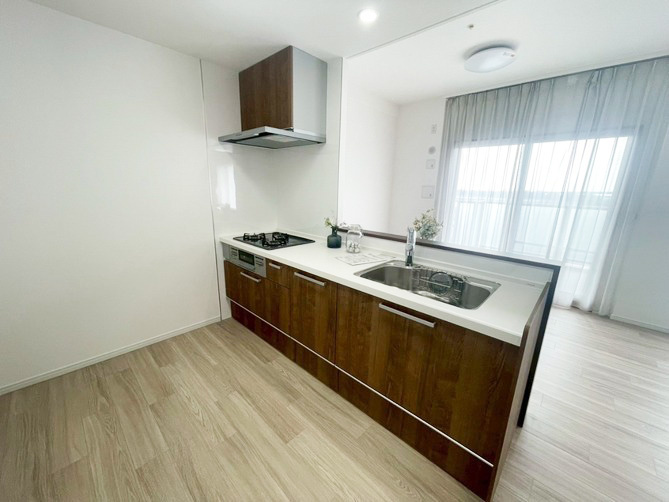 ルネヒューマンズガーデンパラディオB棟のキッチン