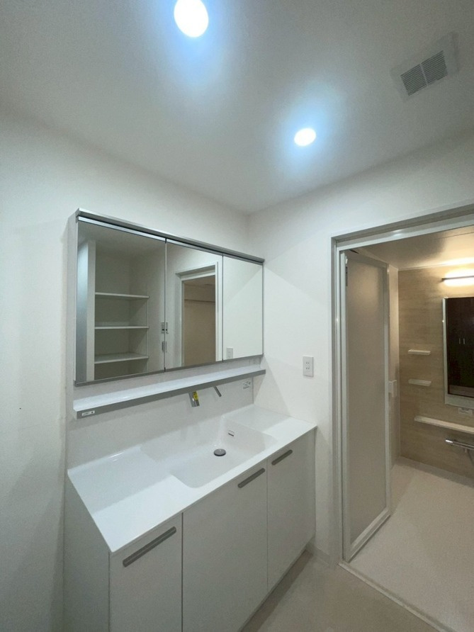 ルネヒューマンズガーデンパラディオB棟の独立洗面台