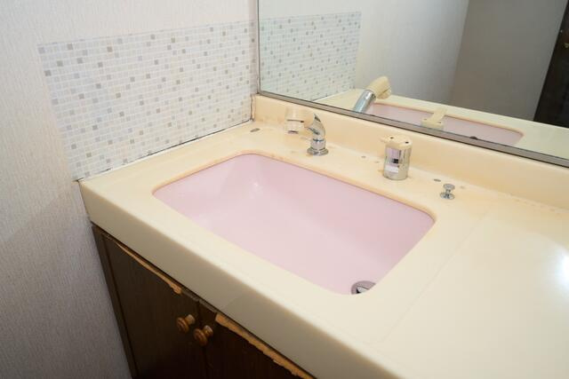 ナイス・ステージ・宇都宮壱番館のその他|洗面台