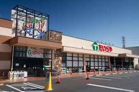 ナイス・ステージ・宇都宮壱番館の周辺|たいらや緑店まで987m