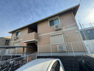 やまぼうしの画像