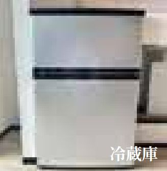 Claudia Shibamataのその他