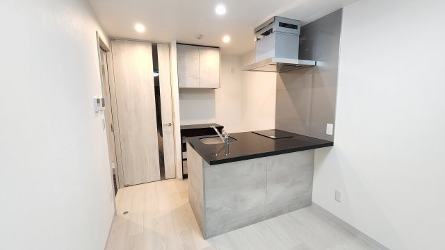 ピアッツァレント八木駅前のキッチン|2口IHクッキングヒーターのシステムキッチン