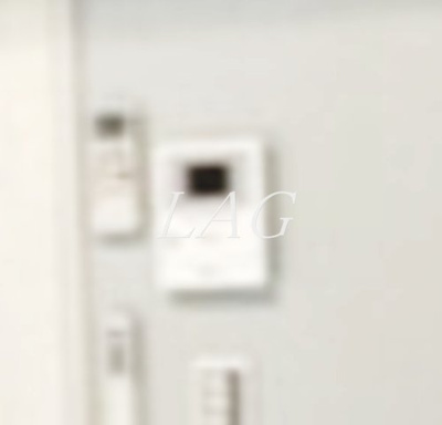 【セキュリティ】 | アンチョビ | モニター付きインターフォンです。