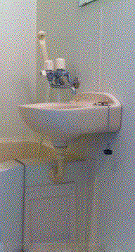 シンシティー錦糸町の洗面所