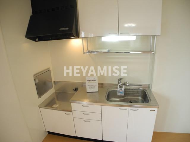 ウィルモア東町のキッチン