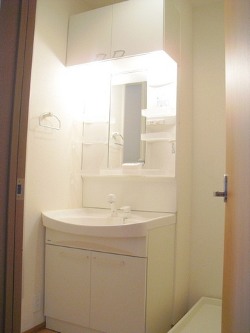 パークサイド西川の洗面所|脱衣所　忙しい朝にうれしいシャンプードレッサー