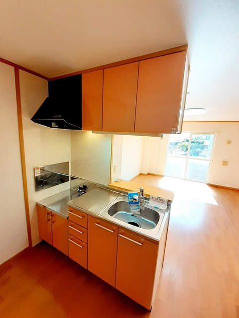 マンモス　よこやま　Ⅱのキッチン|キッチン