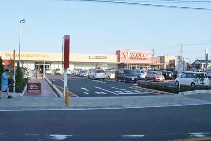 ヤオコー柏若葉町店まで187m