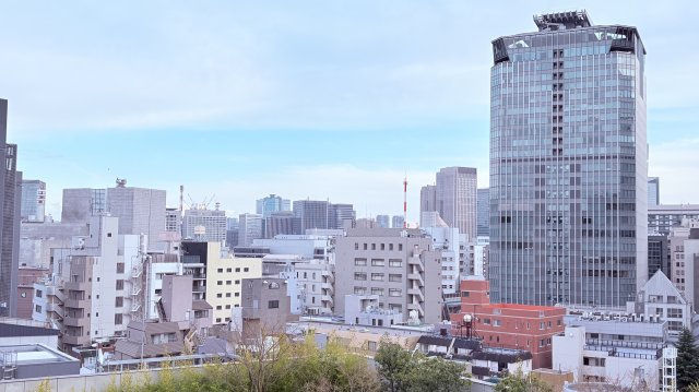 ★仲介手数料半額★平河マンション（東京の中心部千代田区平河町に佇むヴィンテージレジデンス）の展望