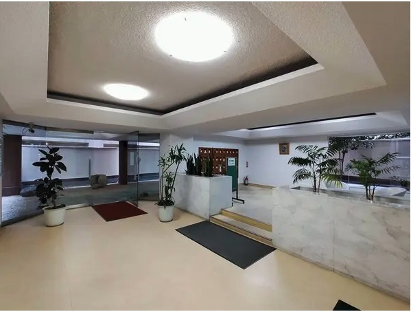 ★仲介手数料半額★平河マンション（東京の中心部千代田区平河町に佇むヴィンテージレジデンス）のその他共用部分