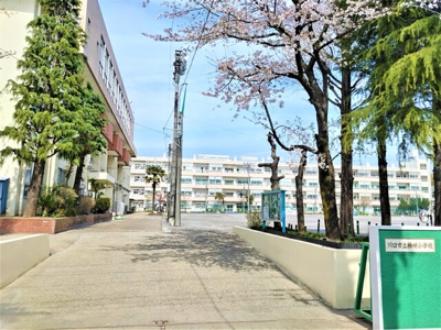 川口市立柳崎小学校まで200ｍ