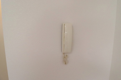 【その他】 | セジュール素川Ⅱ | 101　インターホン