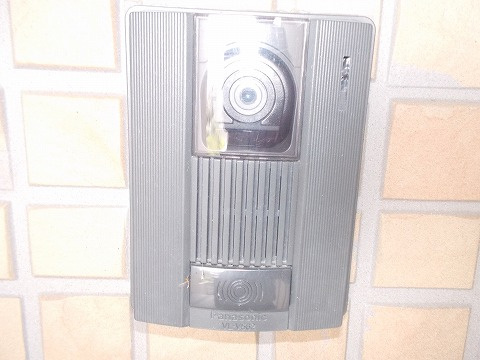 エバーグリーンオーク Bのその他