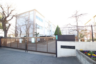 茅ヶ崎市立柳島小学校まで1100ｍ