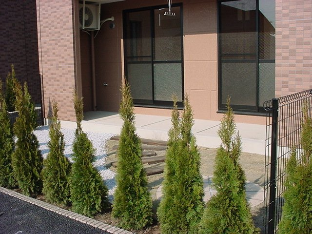 グリーンパークＣ棟のその他|専用庭