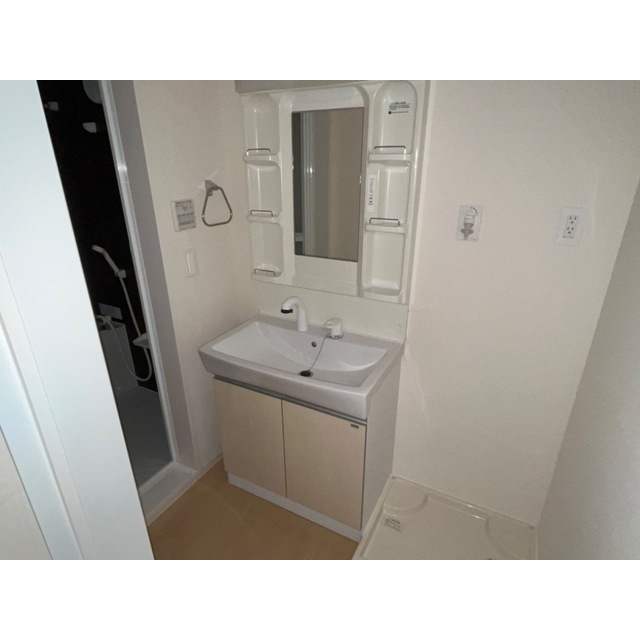 チェリーハウスⅢの洗面所