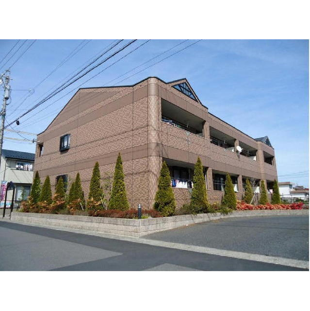 エル・アールの森