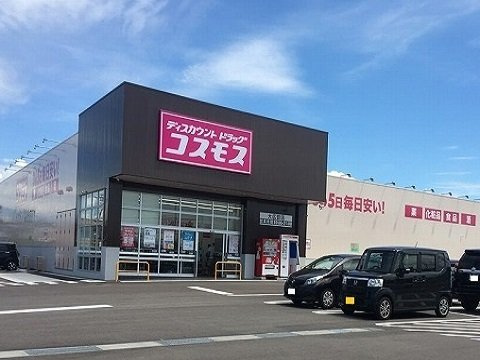 ドゥ・ステージアⅢの周辺|コスモス大広田店まで500m