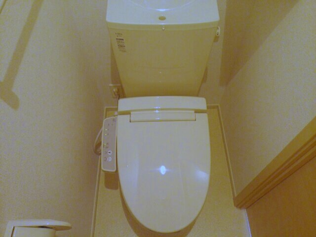 ダリエⅡのその他