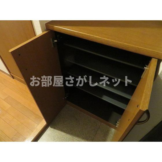 ＹＡＹＯＩ　ＣＯＵＲＴの玄関|靴箱