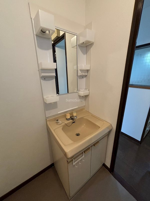 ラ・パレス桜川の洗面所