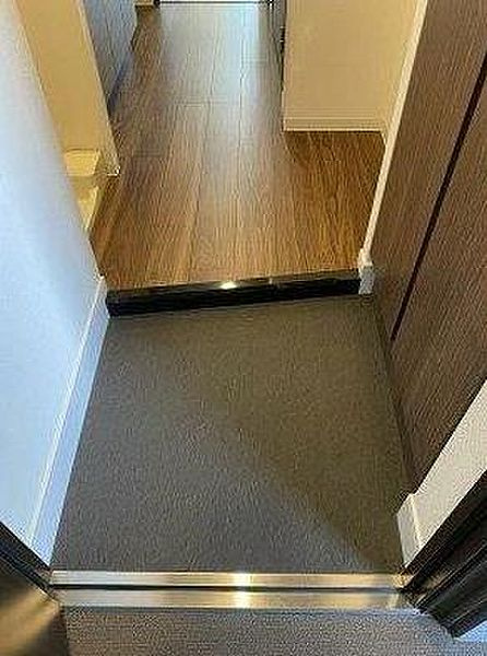 マキシヴ西大島の玄関