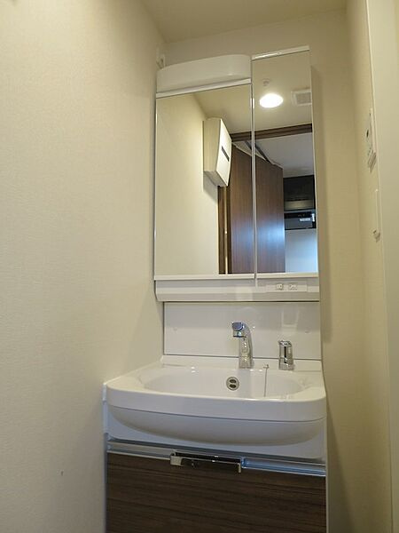 マキシヴ西大島の洗面所