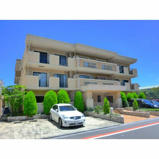 ＭＯＮＡ　ＶＡＬＥ　Ⅱの画像