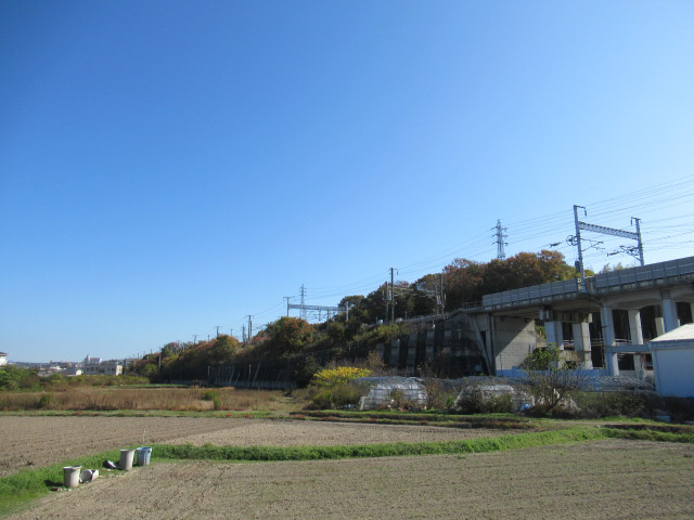 ベイビレッジＩＮＯＵＥの展望