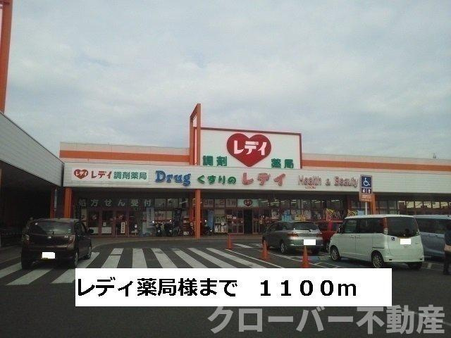 ルナ　イ　ソルＡの周辺|レディ薬局まで1100m