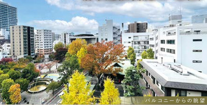 ルミネ東京日本橋の展望