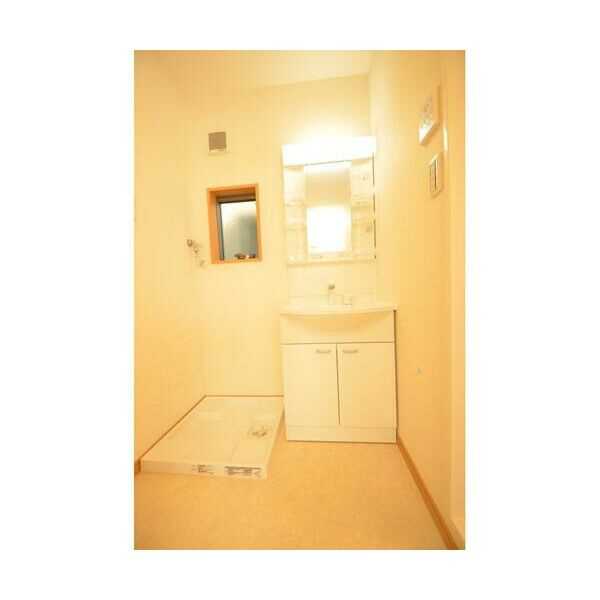 メゾン・ド・アジュールの洗面所