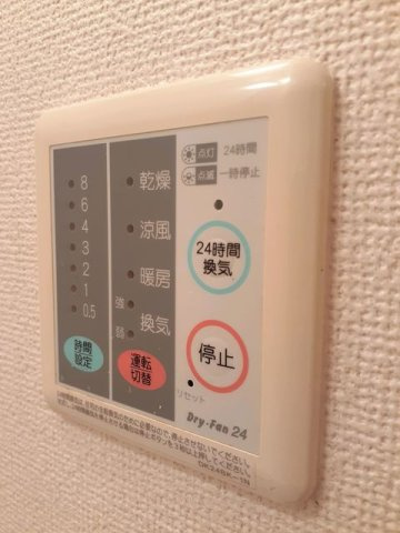 ネムス　Ｃのその他