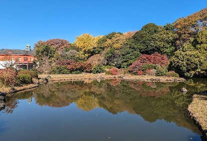 岡部ビルの周辺