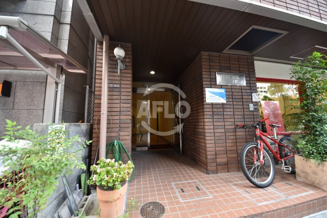 ジュネスアマリのエントランス|ジュネスアマリ　エントランス