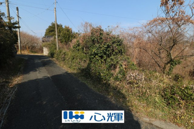 【前面道路含む現地写真】 | 常盤台2丁目土地（古家付き・未造成984坪） | 撮影（2026年2月13日）