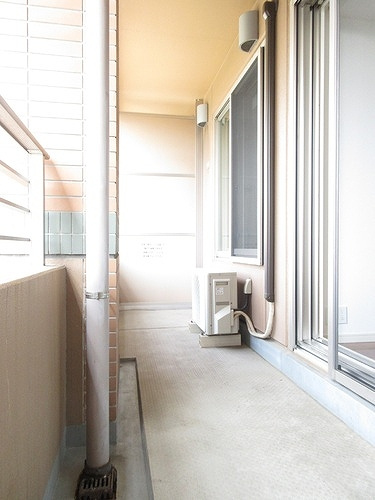 千代田区富士見２丁目の賃貸マンションのバルコニー|バルコニー　※2023年9月撮影の写真