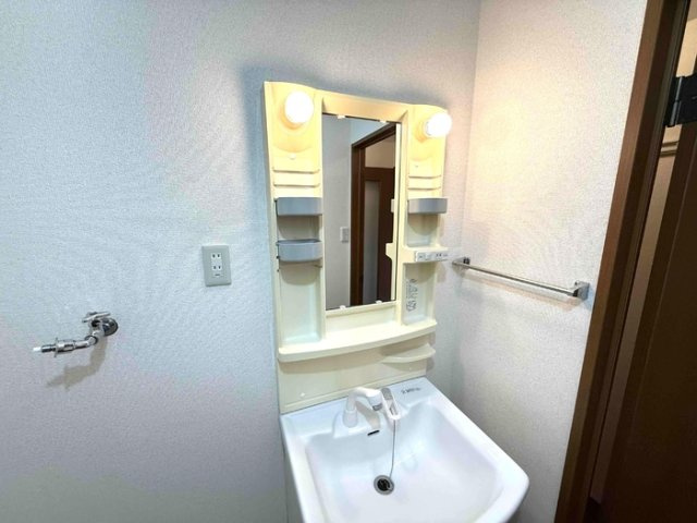 シェモア白山の洗面所