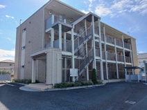 ブッシュ　クローバー　Ⅶの画像