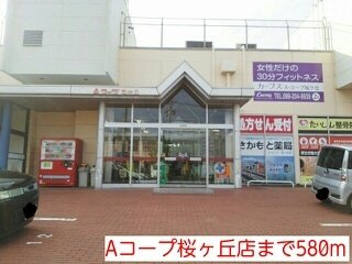 ドマ－ニＫの周辺|Aコープまで580m