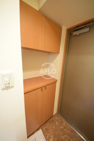 エステムコート心斎橋アルテールの収納|エステムコート心斎橋アルテール　シューズボックス