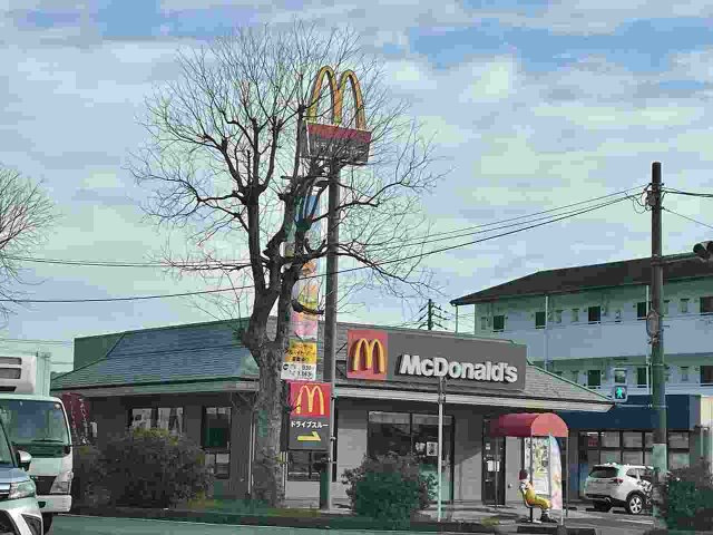 レオパレスＨ＆Ｍの周辺