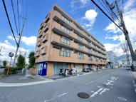 シロハイヌ吉田の画像