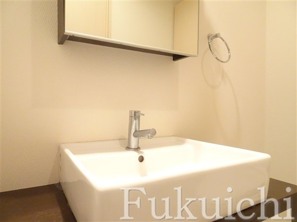 コージーコート学芸大学の独立洗面台