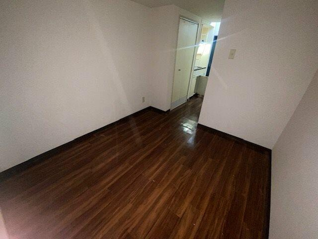 参考写真