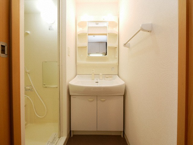 大阪市西区川口２丁目の賃貸マンションの洗面所